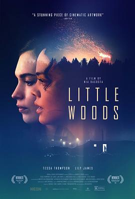 小森林 Little Woods (2018)海报