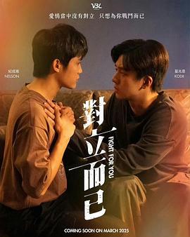 对立而已 對立而已 (2025)海报