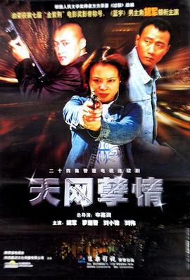 天网孽情 (2001)海报