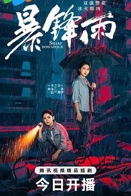 暴锋雨 (2026)海报