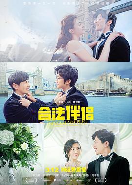 合法伴侣 (2019)海报