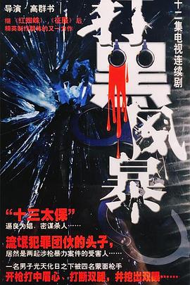 打黑风暴 (2003)海报