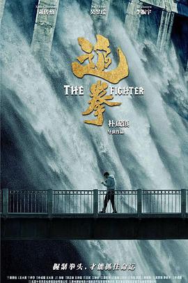 追拳 (2019)海报