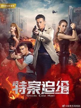 特案追缉 (2020)海报