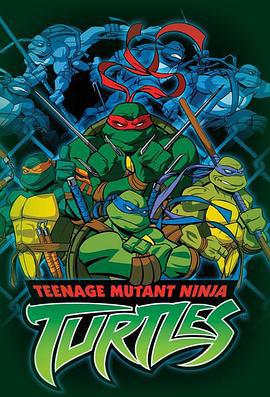 忍者神龟 第一季 Teenage Mutant Ninja Turtles Season 1 (2003)海报