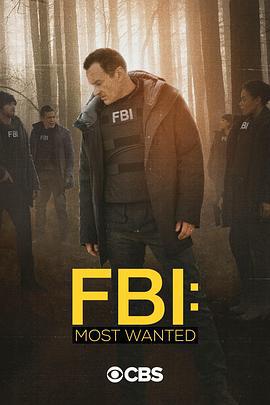 联邦调查局：通缉要犯 第二季 FBI: Most Wanted Season 2 (2020)海报
