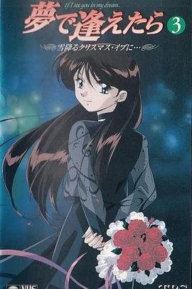 如果在梦里遇见你OVA 夢で逢えたら〜ＯＶＡストーリーズ〜 (1998)海报