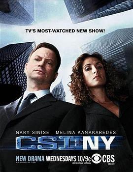 犯罪现场调查：纽约 第五季 CSI: NY Season 5 (2008)海报