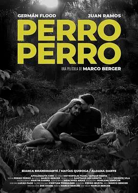 狗狗 Perro Perro (2025)海报