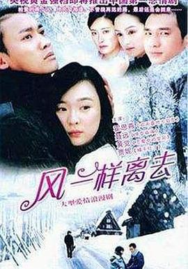 像风一样离去 (2005)海报