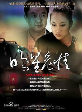明星危情 (2009)海报