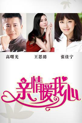 亲情暖我心 (2013)海报