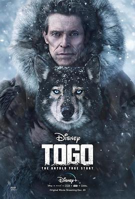多哥 Togo (2019)海报