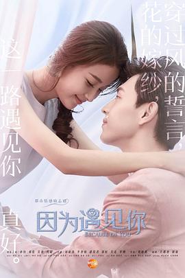 因为遇见你 (2017)海报