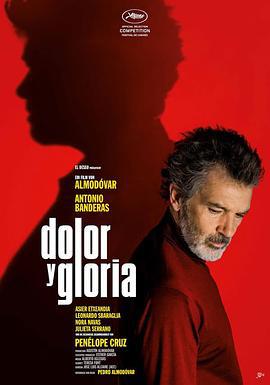 痛苦与荣耀 Dolor y gloria (2019)海报