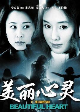 美丽心灵 (2003)海报