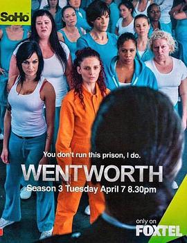 温特沃斯 第三季 Wentworth Season 3 (2015)海报
