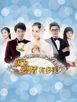 因为爱情有多美 (2013)海报
