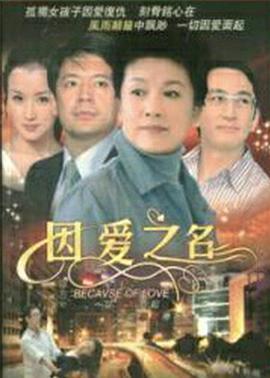 因爱之名 (2007)海报