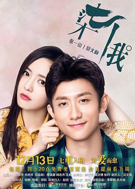 柒个我 (2017)海报