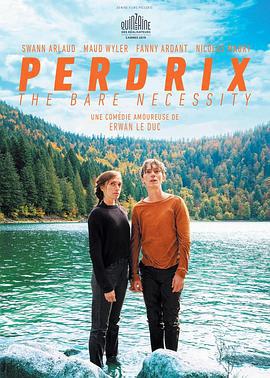 佩尔德利 Perdrix (2019)海报