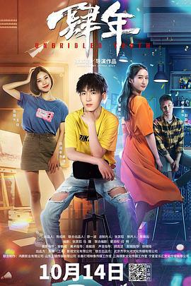 肆年 (2020)海报