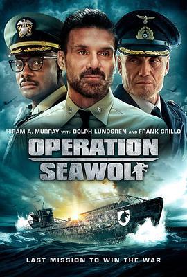 海狼行动 Operation Seawolf (2022)海报