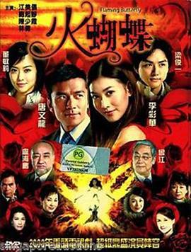火蝴蝶 (2008)海报