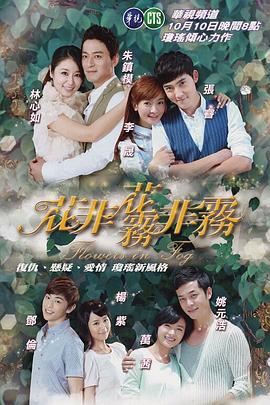 花非花雾非雾 (2013)海报