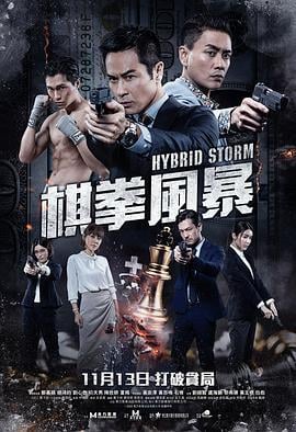 棋拳风暴 (2025) guo_yu_zhong_zi海报