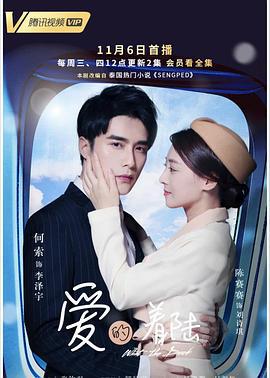 爱的着陆 (2019)海报