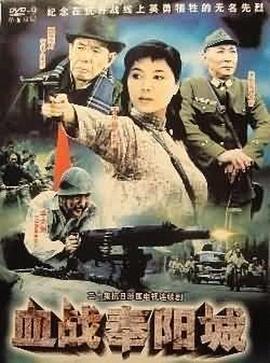 血战奉阳城 (1994)海报