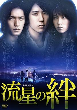 流星之绊 流星の絆 (2008)海报
