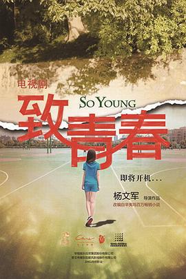 致青春 (2016)海报