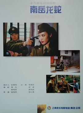 南岳龙蛇 (1990)海报
