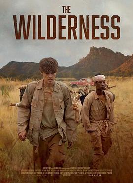 旷野 The Wilderness (2025)海报