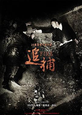追捕 (2010)海报