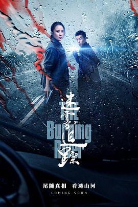 迷雾追踪 (2020)海报