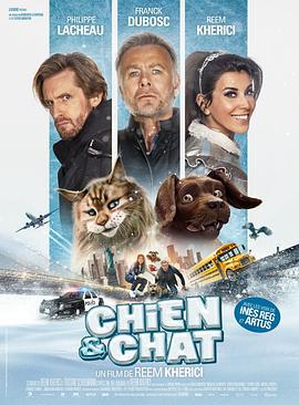 猫狗大乱斗 Chien et Chat (2024)海报