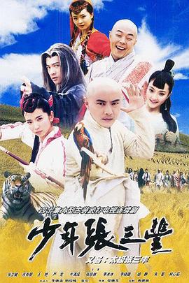 少年张三丰 (2001)海报
