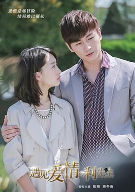 遇见爱情的利先生 (2017)海报