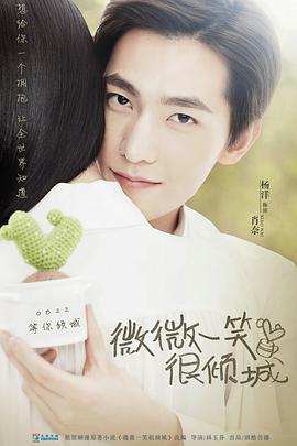 微微一笑很倾城 (2016)海报