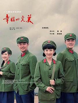 幸福的完美 (2009)海报