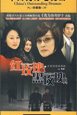 红玫瑰黑玫瑰 (2010)海报