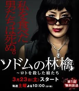 索多玛的苹果 ソドムの林檎～ロトを殺した娘たち (2013)海报