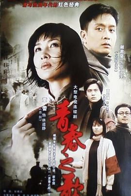 青春之歌 (2006)海报