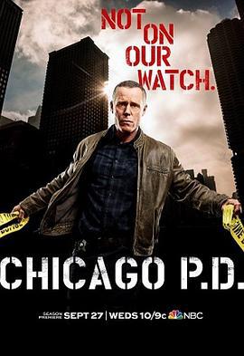 芝加哥警署 第五季 Chicago P.D. Season 5 (2017)海报