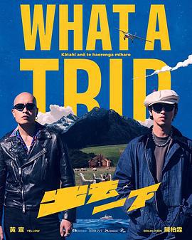 出去一下 What A Trip (2025)海报