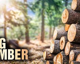 终极伐木达人 第一季 Big Timber Season 1 (2020)海报