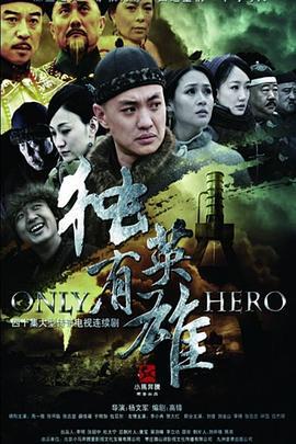 独有英雄 (2013)海报